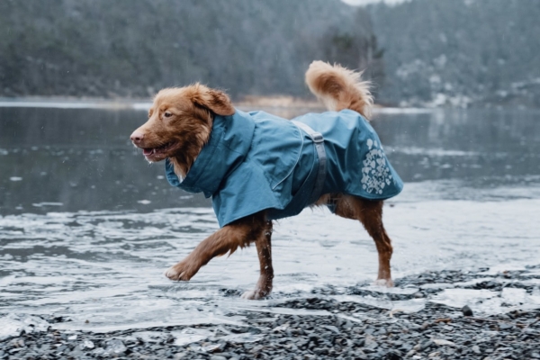 Hurtta Hunde-Regenmantel Monsoon coat blau